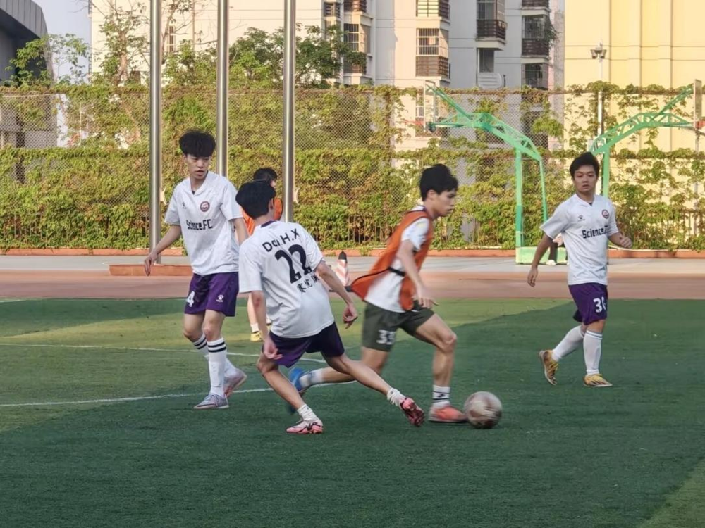图片5