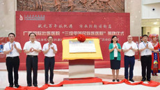 附属国际壮医医院“三级甲等民族医医院”揭牌