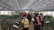 2022年全国瑶医药学术交流会、广西壮瑶医药医养结合学术交流会暨第四届瑶医药发展论坛在广西金秀召开