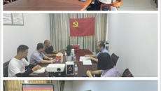 基础医学院各党支部顺利完成换届选举工作