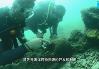 【新华网】bat365在线官网平台深耕北部湾“蓝色药库”